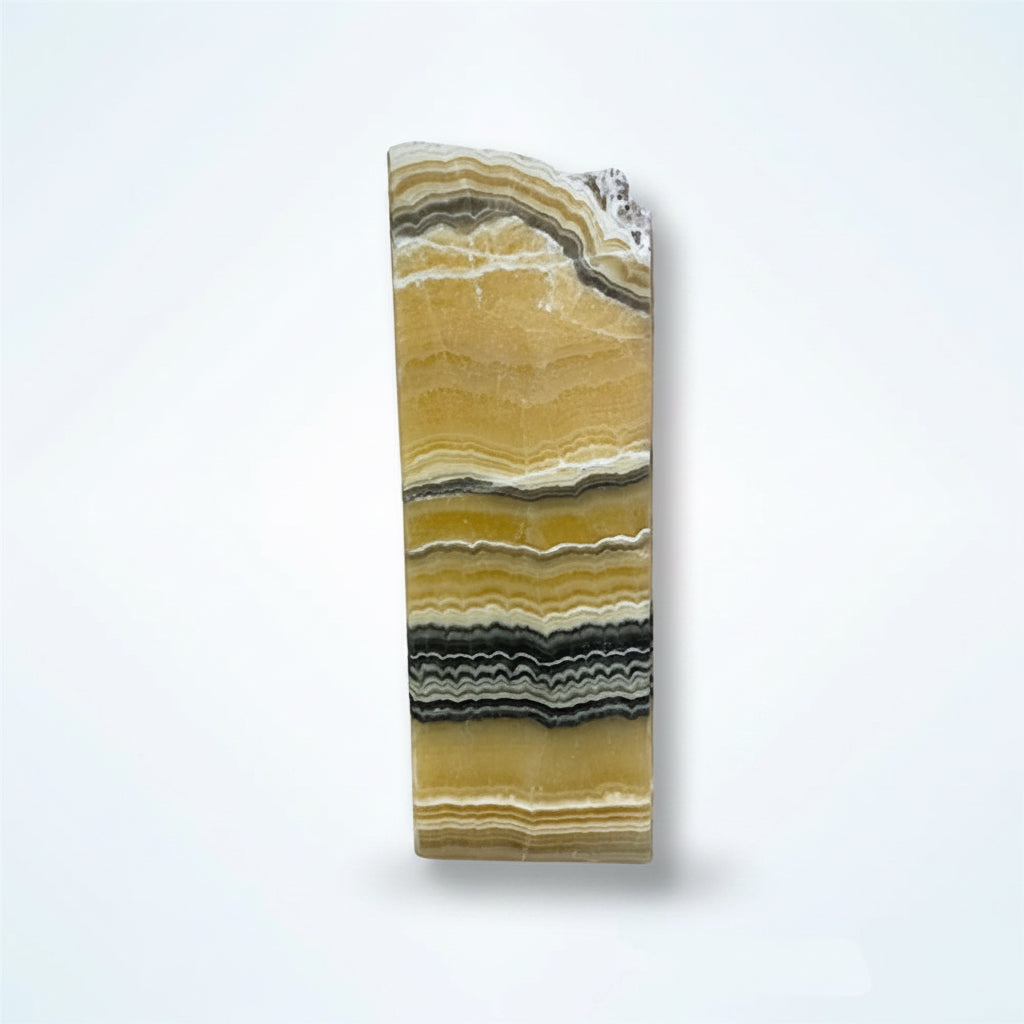 Zebra aragonite prism lamp, rustic edge, view 4 | Cayen Home