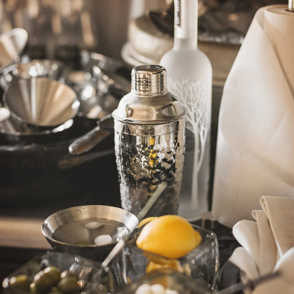 Jan Barboglio La Sarah martini shaker, view 5 | Cayen Home