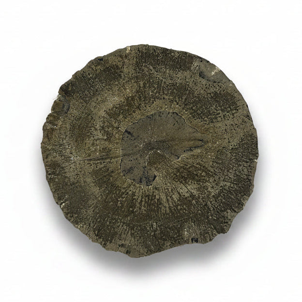Flat pyrite sun | Cayen Home