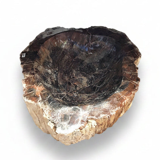 Petrified wood bowl | Cayen Home