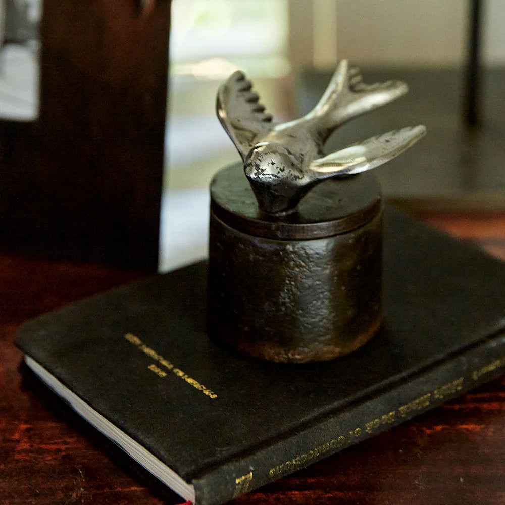 Jan Barboglio Golondrina box with nickel bird, view 2 | Cayen Home
