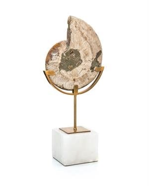 John-Richard Standing Ammonite, view 2 | Cayen Home