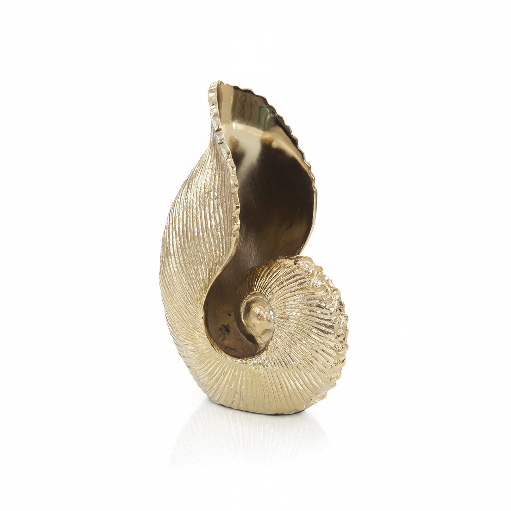 John-Richard nautilus seashell brass sculpture | Cayen Home