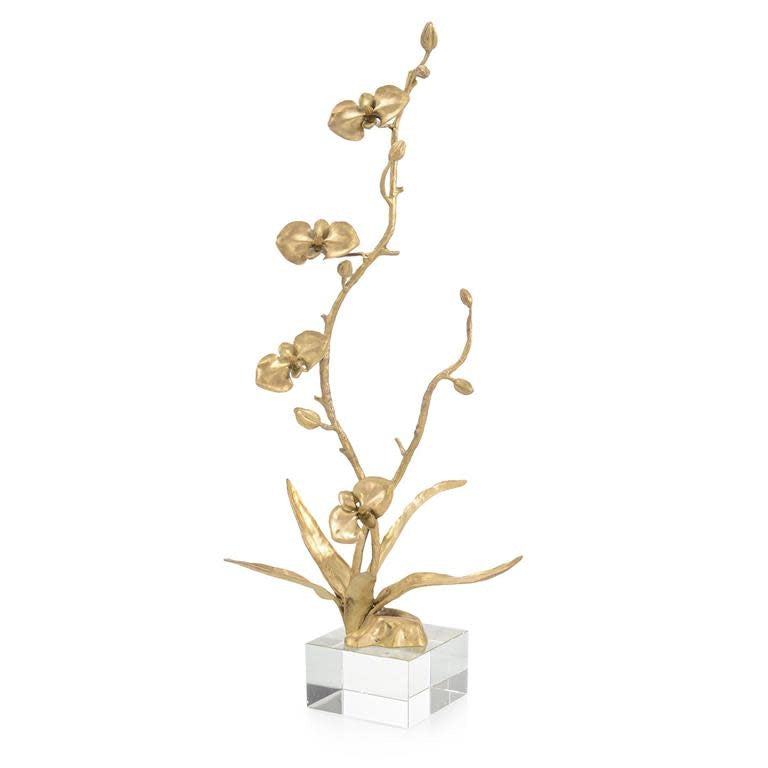 John-Richard brass orchid sculpture on crystal base | Cayen Home