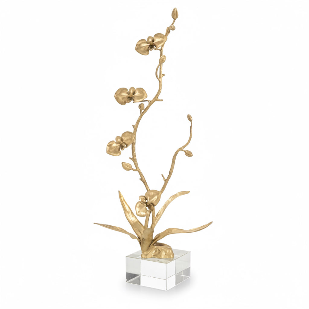 John-Richard brass orchid sculpture on crystal base | Cayen Home