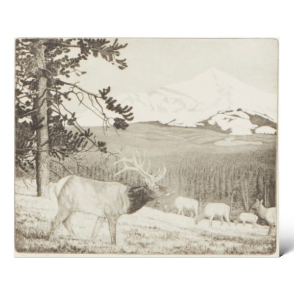 Big Country etching by Walter Bohl, view 2 | Cayen Home
