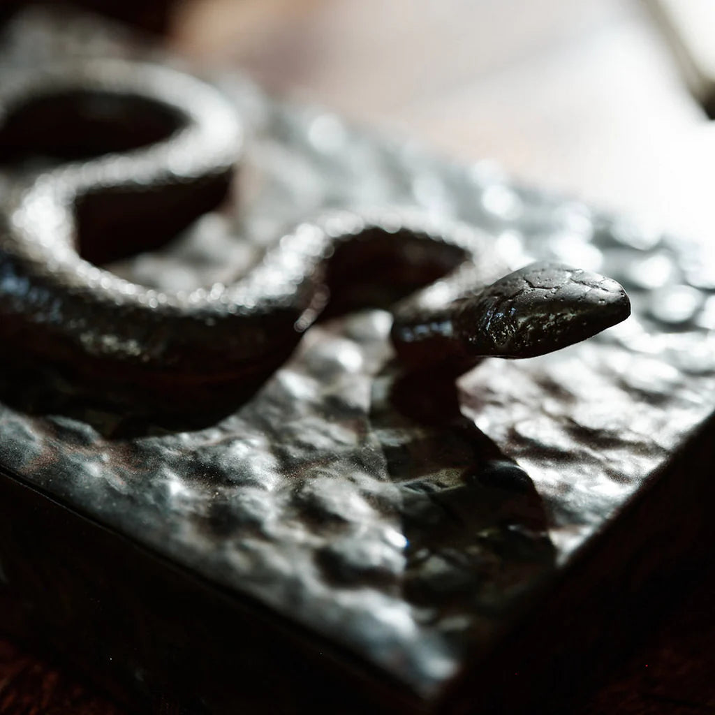 Jan Barboglio Nagini serpent box, view 4 | Cayen Home