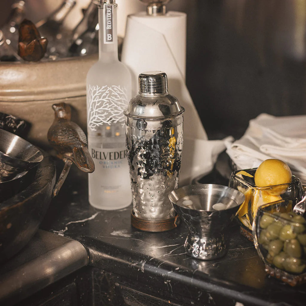 Jan Barboglio La Sarah martini shaker, view 3 | Cayen Home