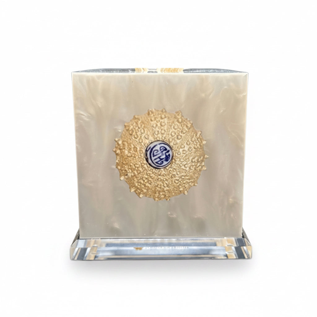Sea Urchin Boutique Tissue Box Cover