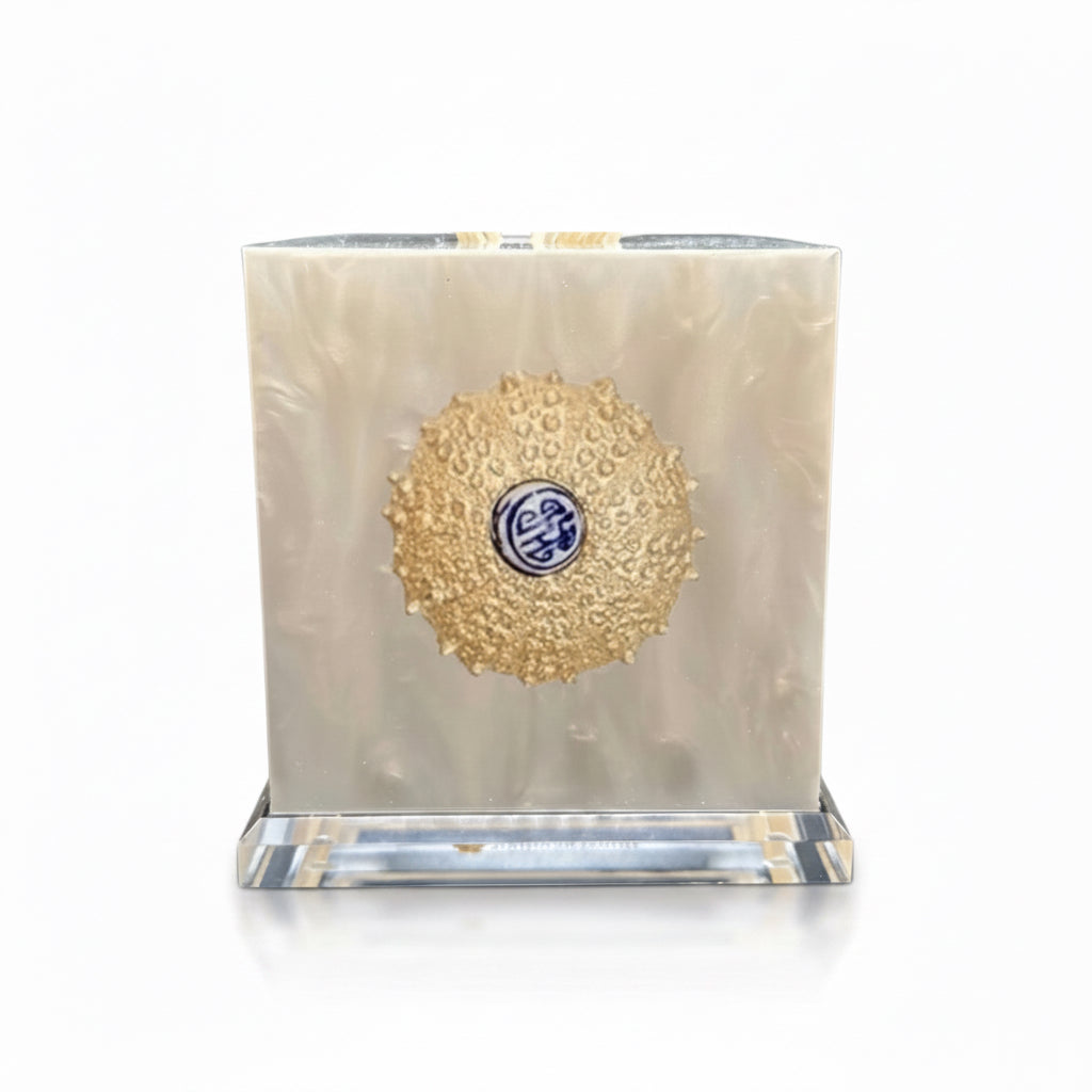 Sea Urchin Tissue Box-Pearl