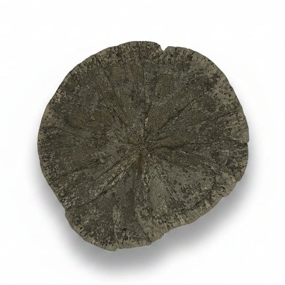 Single pyrite sun | Cayen Home