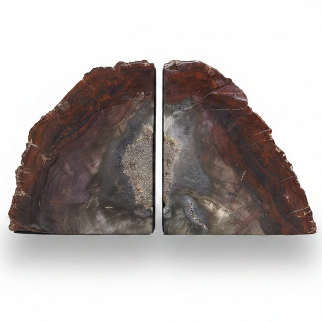 Petrified wood bookends, pair | Cayen Home