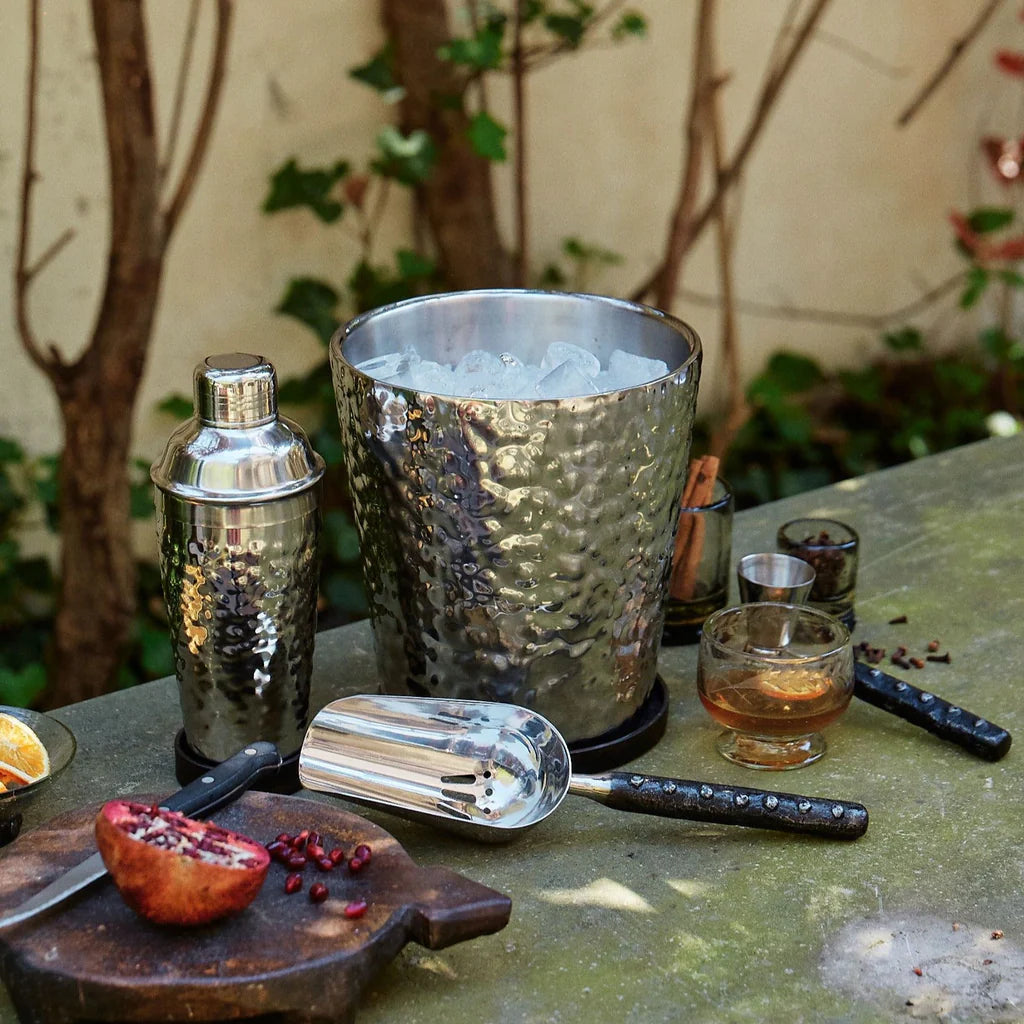 Jan Barboglio La Sarah martini shaker, view 4 | Cayen Home