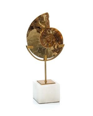 John-Richard Standing Ammonite | Cayen Home