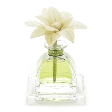 Agraria Lime and Orange Blossom Petite Essence diffuser, 1.7oz, view 2 | Cayen Home