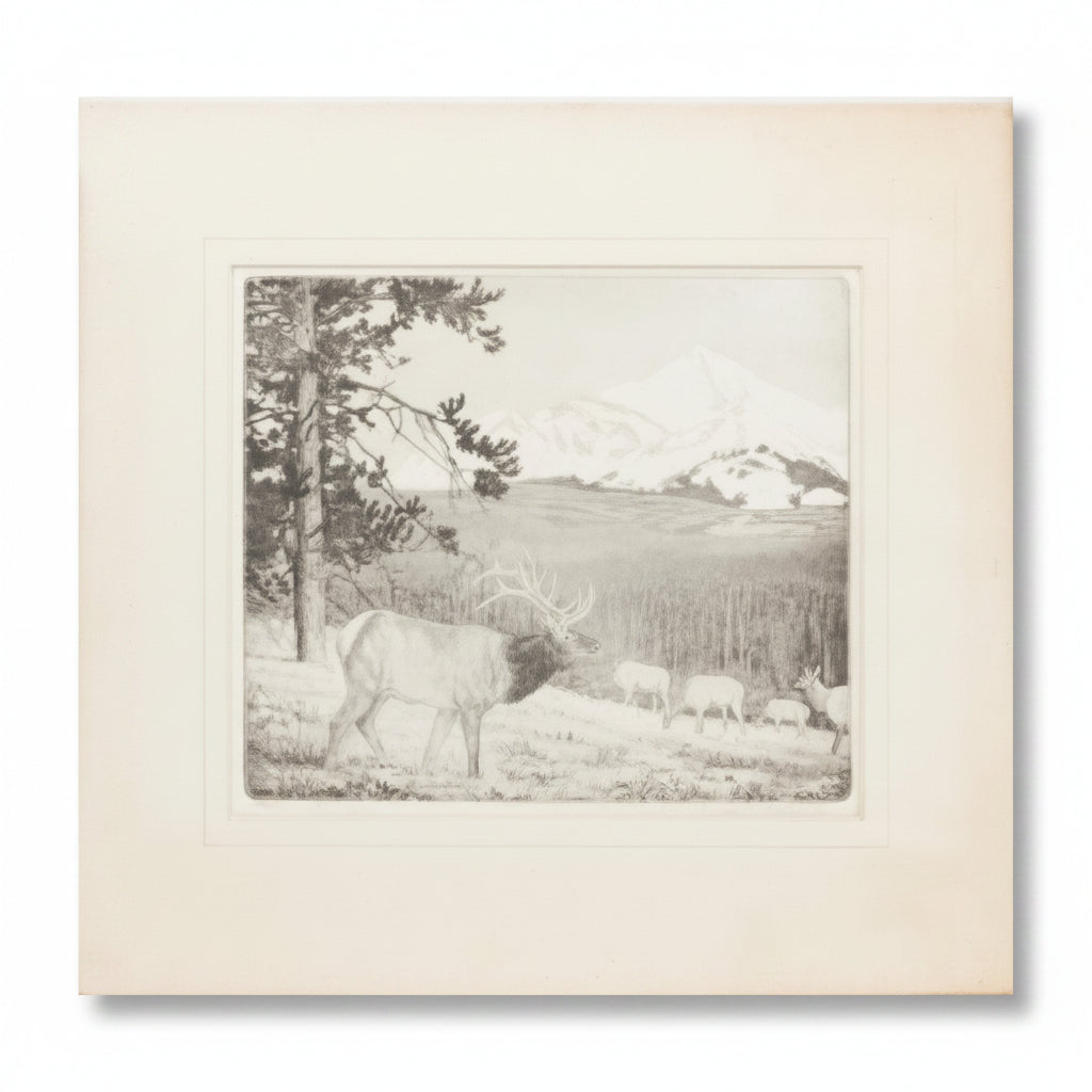 Framed black and white landscape print with trees and a body of water.